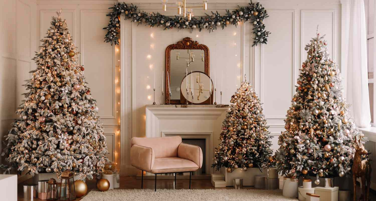 Joiedomi -Joiedomi 2