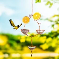 Oriole Hanging Metal Bird Feeder 17 Oriole Hanging Metal Bird Feeder -Joiedomi 71VCLbSiGwL. AC SL1500