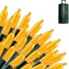 100 Orange LED Green Wire String Lights -Joiedomi 815MNWmqXoL. AC SL1500