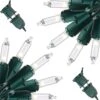 52.5 FT 200 Count Christmas Clear Green Wire -Joiedomi 81996rIkA2L. AC SL1500 9f23b444 1756 4c54 927d 45efd86dce0f