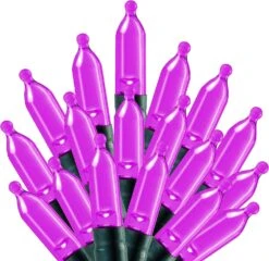 17.3 Ft Battery Operated 50 Counts Purple LED String Lights -Joiedomi 819d40tK4PL. AC SL1500