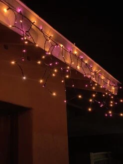 150 M5 LED Black Wire Icicle Lights (Orange & Purple) -Joiedomi 81BvUyKXt2L. AC SL1500 2