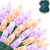 17.3 FT Battery Powered Orange & Purple Wire String Lights 2 17.3 FT Battery Powered Orange & Purple Wire String Lights -Joiedomi 81P67Z0lQ8L. AC SL1500 cea9b129 22a9 44f4 8e5f 2ddc40b057f1