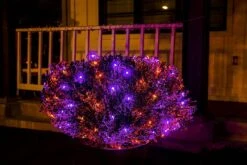100 M5 LED Black Wire Net Lights (Orange & Purple) -Joiedomi 81eZQUUjMYL. AC SL1500