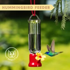 Mini Hummingbird Feeders With Hanging Wires, 6 Pcs 12 Mini Hummingbird Feeders With Hanging Wires, 6 Pcs -Joiedomi 81oJVT8pN8L. AC SL1500