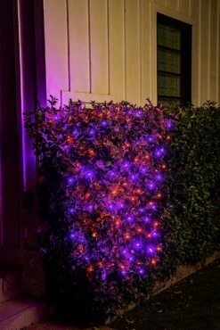 100 M5 LED Black Wire Net Lights (Orange & Purple) -Joiedomi 91FmJBrGTJL. AC SL1500
