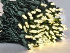 38.7ft 150 Count Christmas Clear LED String Lights -Joiedomi 91IIXWb5gpL. AC SL1500