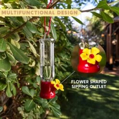 Mini Hummingbird Feeders With Hanging Wires, 6 Pcs 13 Mini Hummingbird Feeders With Hanging Wires, 6 Pcs -Joiedomi 91e2BF60G2L. AC SL1500
