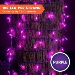 42.9 FT Purple String Lights -Joiedomi 91e85qTir L. AC SL1500