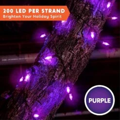 200 Purple LED Green Wire String Lights -Joiedomi 91fVqjcqCcL. AC SL1500