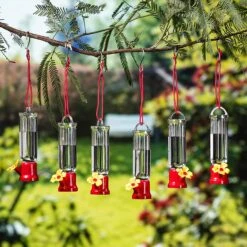 Mini Hummingbird Feeders With Hanging Wires, 6 Pcs 18 Mini Hummingbird Feeders With Hanging Wires, 6 Pcs -Joiedomi 91jWMzuvdAL. AC SL1500