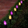 C9 Incandescent Green Wire Pathway Lights (Orange & Purple), 10 Pcs 2 C9 Incandescent Green Wire Pathway Lights (Orange & Purple), 10 Pcs -Joiedomi 91jwaSZ5TyL. AC SL1500