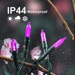 17.3 Ft Battery Operated 50 Counts Purple LED String Lights -Joiedomi 91pk DB4odL. AC SL1500