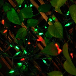 70 Red & Green M5 LED Green Wire String Lights 13 70 Red & Green M5 LED Green Wire String Lights -Joiedomi image 3 955dd6d9 d6f7 4392 bace 1ddb607c701a