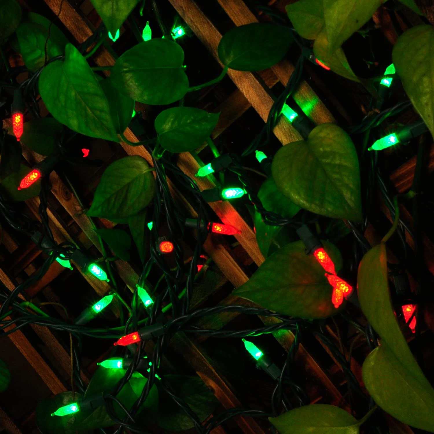 70 Red & Green M5 LED Green Wire String Lights 5 70 Red & Green M5 LED Green Wire String Lights - Image 3