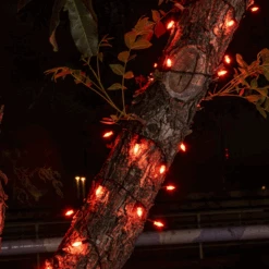 52.5 FT 200 Count Christmas Orange Green Wire String Lights 12 52.5 FT 200 Count Christmas Orange Green Wire String Lights -Joiedomi image 3 ef1dc585 2700 40de b558 edcfbf7e5df5