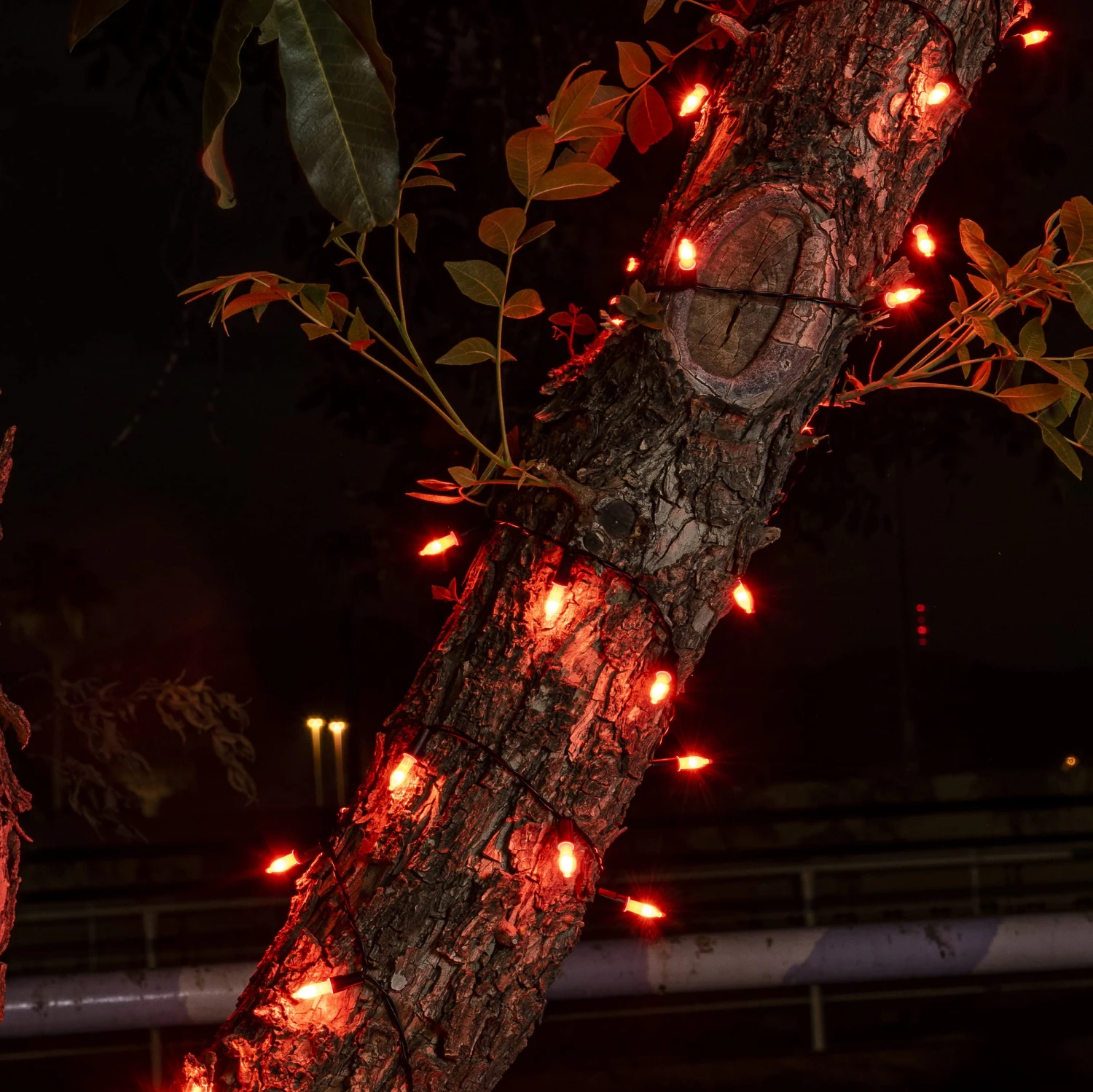 52.5 FT 200 Count Christmas Orange Green Wire String Lights 5 52.5 FT 200 Count Christmas Orange Green Wire String Lights - Image 3