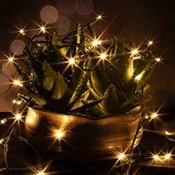 400 Warm White LED Green Wire String Lights -Joiedomi image 6 4f403027 f03b 43ab 9129 2eeac329d67b